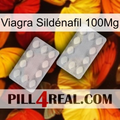 Viagra Sildénafil 100Mg 17